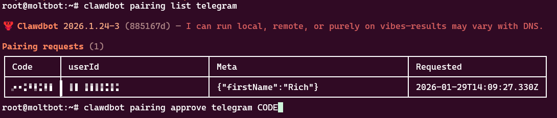 Telegram Pairing Authorization
